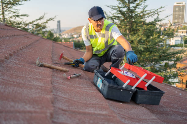 Historical Building Siding Restoration in Rosemont, CA